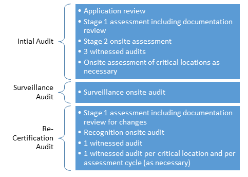 MDSAP Audit Cycle