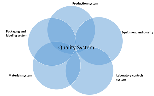 six system inspection model