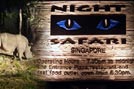 Night Safari