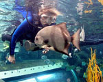 Florida Aquarium (The)